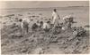 Students Collecting Samples