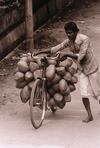Tender Coconut Vendor