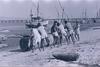 Fishermen Prepare Dock