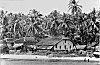 Houses surrounded by coconut trees – somewhere on the Konkan coast