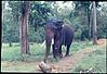bandipur