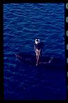 Boatmen on midsharavati