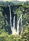 The Jog Falls, Karnataka