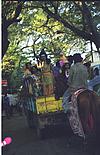 Children in dressed as Shiva's family in procession