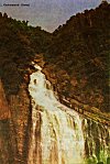 Unchalli Waterfalls near Siddapur