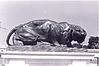 Sculpture of a Lion by the famous sculpture shaphi?