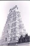Gopuram of the temple of family deity of the maharaja