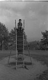 A boy on a ladder