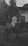 Rider on a horse at the state fair