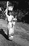 Basket in one hand baby in the other- A women proceeding to field
