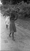 Kids carrying fire wood