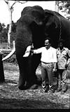 Recording team, AIR - at the elephant training center