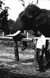 Recording team, AIR - at the elephant training center