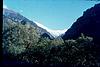 Snow mountain and forest in one shot