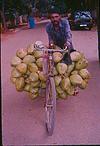 Tender coconut seller