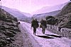 Himalayan Labourers, Himachal Pradesh