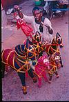 Rajasthani toys