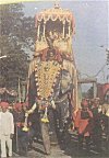 Elephant Carrying the Golden Howdah, Mysore