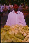 Fruit and vegetable Guava and cucumbers seller