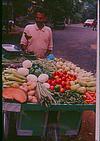 Vender with vegetable on the push cart
