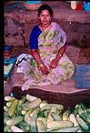 Cucumber  seller