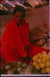 Fruit seller