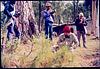 Busy photographers on a Himalayan spot