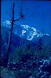 Himalayan peak from below