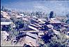 Slate roofed houses in a Himalayan village