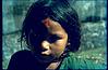 A Himalayan laborer kid