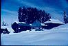 A snow covered temple premises