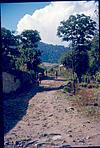 A unpaved village road