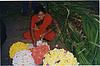 Flower Seller Making a Garland