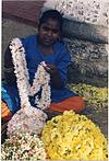 Flower Seller