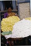 Flower Vendor