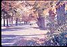 Syracuse campus in Autumn, 1964