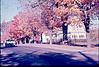 Campus scene in Autumn, 1964