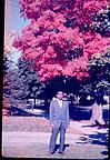 An Indian friend of Kamat, under a full bloomed tree