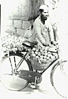 Fruit vendor