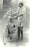 Coconut Hawker