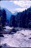 A Himalayan Valley View