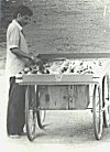 Vegetables vendor