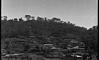 Houses in outskirts of Simla, 1985