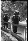 Man is beast of burden in Simla, 1985