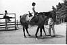 Horse ride for a tourist, Shimla, 1985