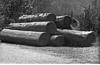 Logs on the road side, Shimla, 1985