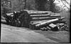 Logs on the road side, Shimla, 1985