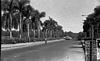 A highway in Goa, 1986