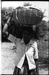 Farmer's daughter carrying basket, 1985