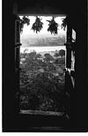 Scene of a river through a window, Mudukutore, 1985